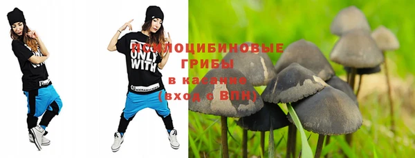 ешки Гусиноозёрск