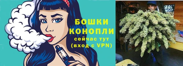 ешки Гусиноозёрск