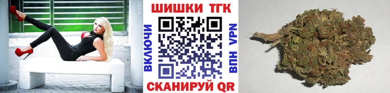 Купить закладки  Княгинино  Шишки марихуана тримм 